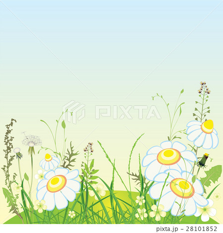 Green landscape, flowers and grass meadow 28101852