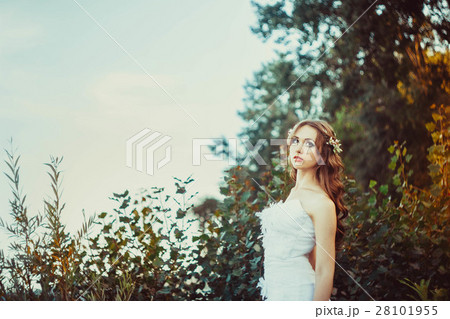 girl in white dress in forest 28101955