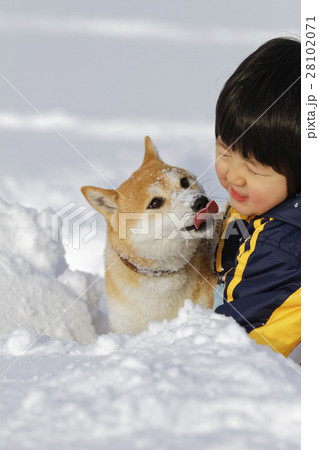 雪と柴犬と子ども 雪と柴犬と子ども 28102071