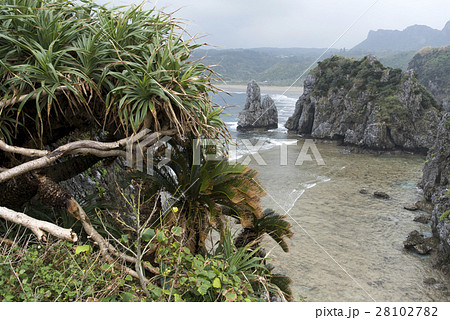 辺戸岬 辺戸岬 28102782