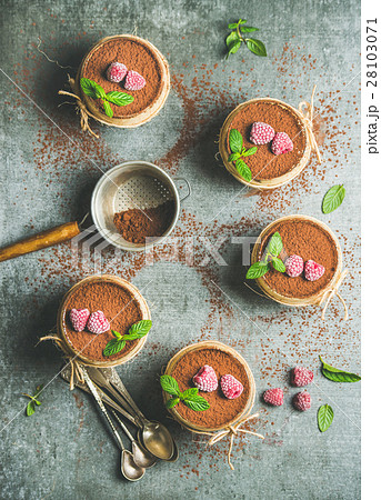 Homemade Tiramisu in individual glasses with Homemade Tiramisu in individual glasses with 28103071