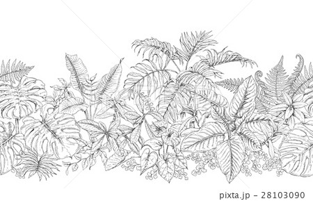 Tropical Plants Line Horizontal Pattern Tropical Plants Line Horizontal Pattern 28103090