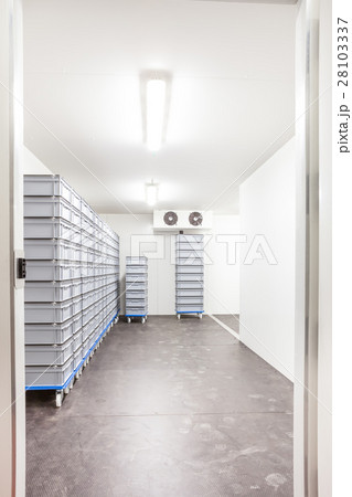 The room fridge 28103337