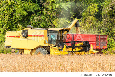 Combine harvester and tractor trailer 28104246