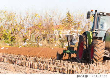 Tractor with plow. Plowing a field of corn. 28104266