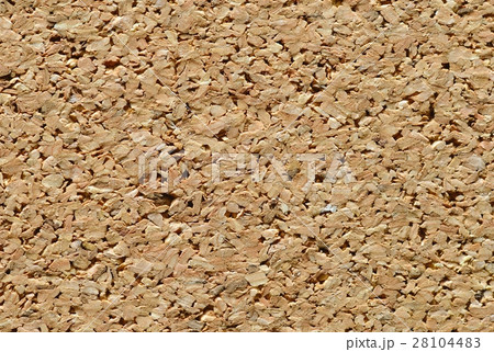 Balsa wood texture. Macro view  28104483