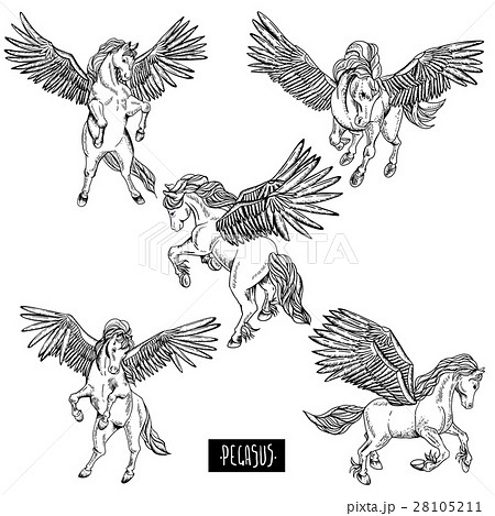 Vintage Monochrome Vector Set Of Winged Pegasus Stock Illustration