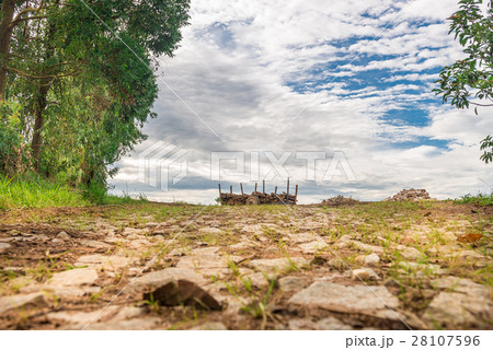 View of the nature and an old carriage 28107596