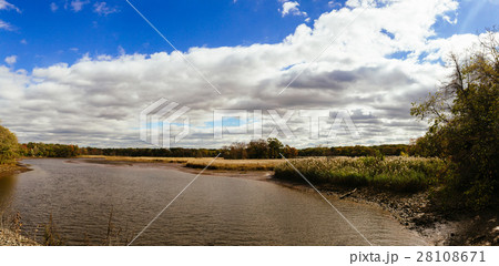 autumn landscape of river and trees without leaves 28108671