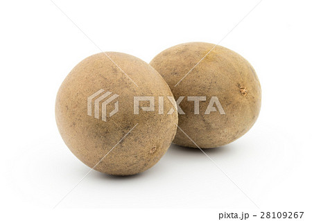 ラカンカ(羅漢果): luo han guo (monk fruit) ラカンカ(羅漢果): luo han guo (monk fruit) 28109267