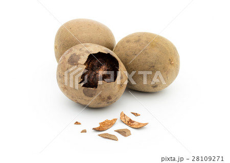 ラカンカ（羅漢果）: luo han guo (monk fruit) 28109271