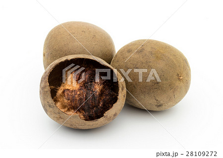 ラカンカ（羅漢果）: luo han guo (monk fruit) 28109272