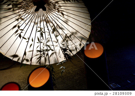 百華百彩 28109309