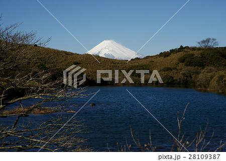 玄岳 氷ヶ池と富士山 玄岳 氷ヶ池と富士山 28109387