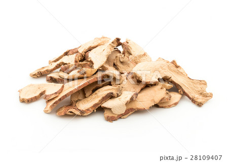 乾燥ガランガル:galangal 乾燥ガランガル:galangal 28109407