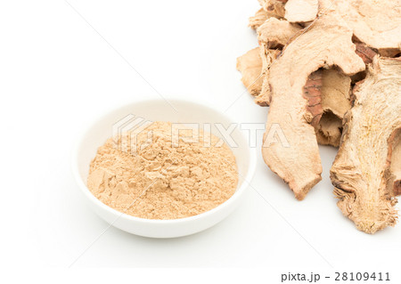乾燥ガランガル:galangal 28109411
