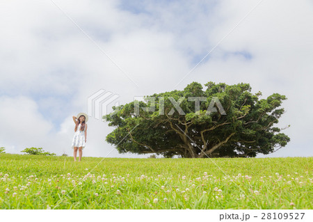 公園の緑と若い女性 28109527