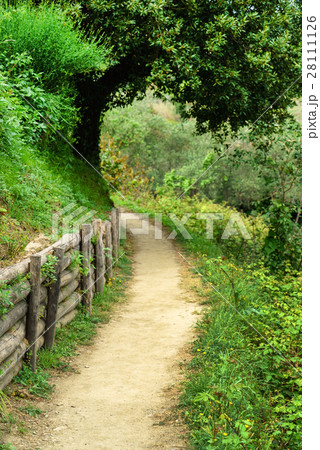 summer time 28111126