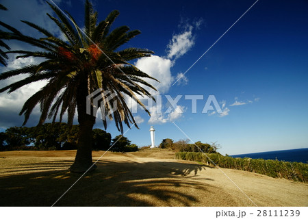 川奈埼灯台 川奈埼灯台 28111239