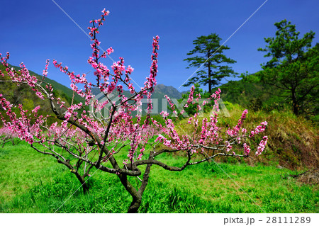 台湾 景色 風景 28111289