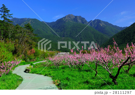 台湾 景色 風景 28111297