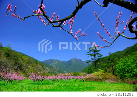 台湾 景色 風景 28111298