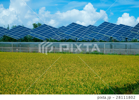 ソーラー 太陽 太陽エネルギー 28111802