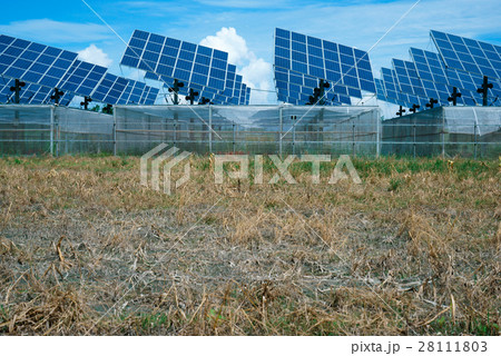ソーラー 太陽 太陽エネルギー 28111803