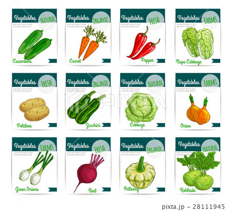 Fresh organic vegetables vector price cards set 28111945