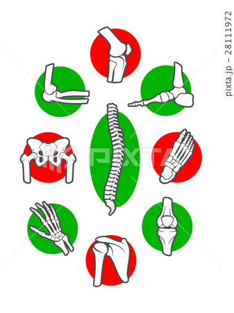 Human skeleton bones and joints icon set 28111972
