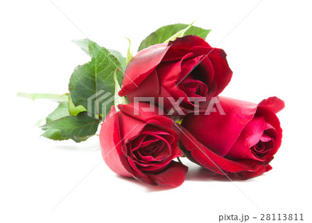 red roses bouquet 28113811