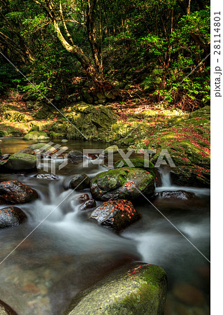 轟峡@長崎県諫早市 轟峡@長崎県諫早市 28114801