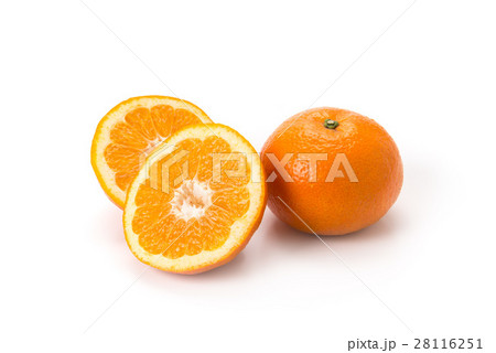 伊予柑 伊予柑 28116251