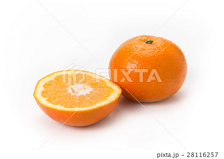 伊予柑 伊予柑 28116257