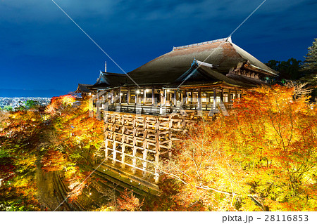 清水寺 - 紅葉のライトアップ 28116853