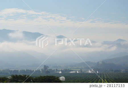 water splashing by high pressure sprinkle plant 28117133