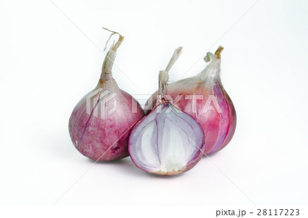 Shallots, onions, isolated on white background Shallots, onions, isolated on white background 28117223