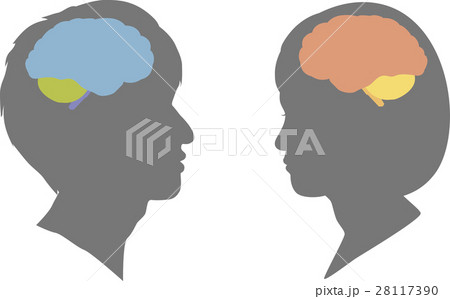 向かい合う女性と男性の脳のシルエットのイラスト素材
