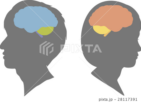 背中合わせの女性と男性の脳のシルエットのイラスト素材