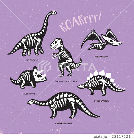Adorable Card With Funny Dinosaur Skeletons Inのイラスト素材