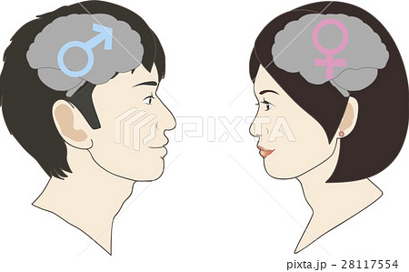 向かい合う男性と女性の脳のイラストのイラスト素材