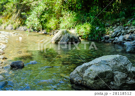夏・涼やかなせせらぎ (5) 夏・涼やかなせせらぎ (5) 28118512