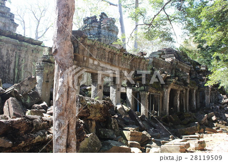 タ・プロム寺院 カンボジア アンコール遺跡群 世界遺産 タ・プロム寺院 カンボジア アンコール遺跡群 世界遺産 28119509