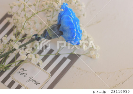 ブルーケーネーション ブルーケーネーション 28119959