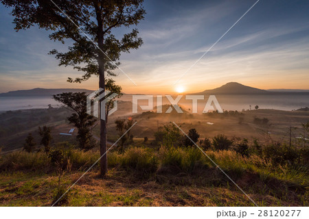 Beautiful green hills glowing warm sunrise Beautiful green hills glowing warm sunrise 28120277