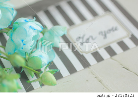 フラワーメッセージ 28120323