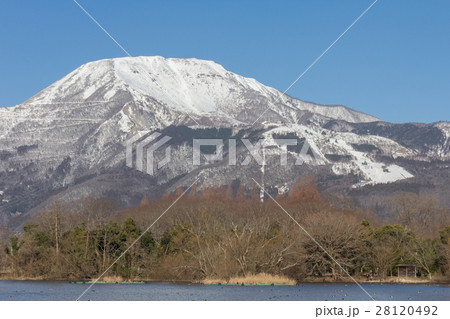 三島池から見る冬の伊吹山 三島池から見る冬の伊吹山 28120492