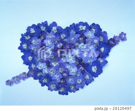 きれい 美しい 綺麗 28120497