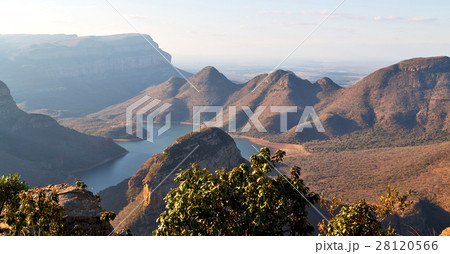 in  south africa    river canyon  plant  and water 28120566