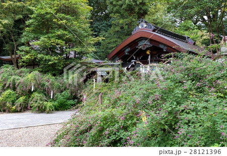 萩 - 梨木神社 萩 - 梨木神社 28121396